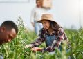 Agricultura familiar de São Paulo tem recorde histórico em 2025 com o PPAIS 5 Agricultura familiar de São Paulo tem recorde histórico em 2025 com o PPAIS