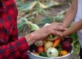 Agricultura familiar do Pará deve injetar R$ 3,3 milhões na economia com a COP30