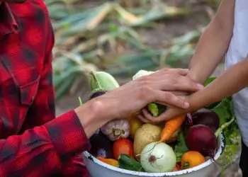 Agricultura familiar do Pará deve injetar R$ 3,3 milhões na economia com a COP30