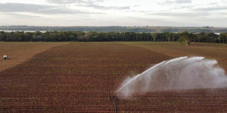 Bagaço de cana se destaca como fonte renovável estratégica para o Brasil, aponta estudo 1 Bagaço de cana se destaca como fonte renovável estratégica para o Brasil, aponta estudo