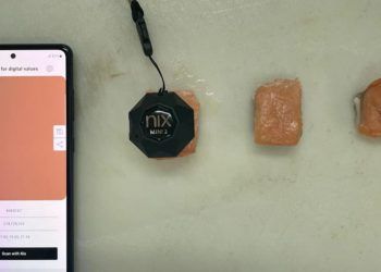 Banco de dados detalha sete espécies de pescado para impulsionar proteínas alternativas