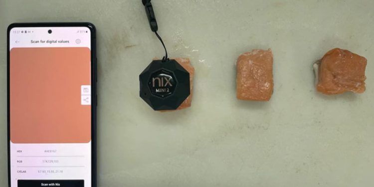Banco de dados detalha sete espécies de pescado para impulsionar proteínas alternativas