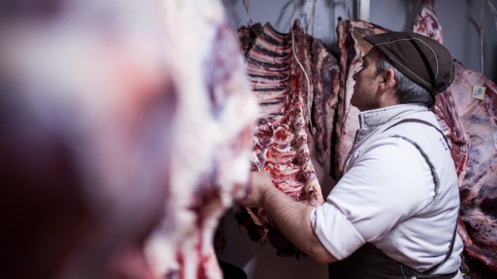 Brasil busca novos mercados de carnes bovinas com foco no Acre e Rondônia