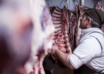 Brasil busca novos mercados de carnes bovinas com foco no Acre e Rondônia