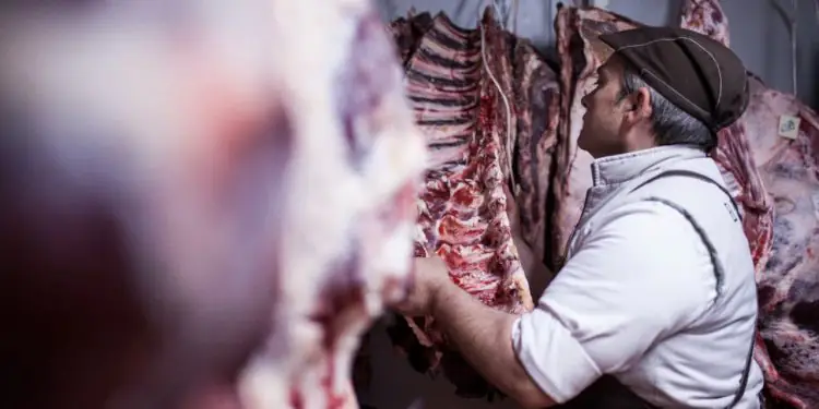 Brasil busca novos mercados de carnes bovinas com foco no Acre e Rondônia 1 Brasil busca novos mercados de carnes bovinas com foco no Acre e Rondônia