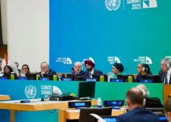 Foto: Fernando Donasci/MMA