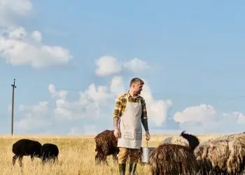 CMN restringe linha de crédito rural de R$ 12 bilhões a produtores gaúchos 9 Foto: Envato