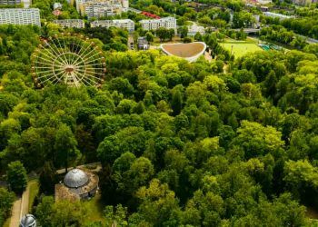 Cidades brasileiras têm menos de 7% de cobertura vegetal, aponta estudo
