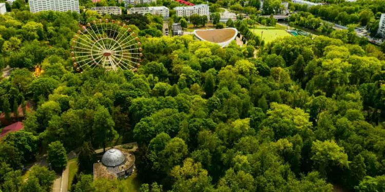 Cidades brasileiras têm menos de 7% de cobertura vegetal, aponta estudo