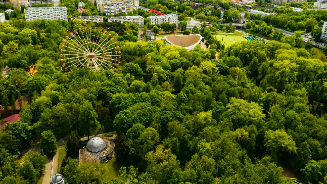 Cidades brasileiras têm menos de 7% de cobertura vegetal, aponta estudo