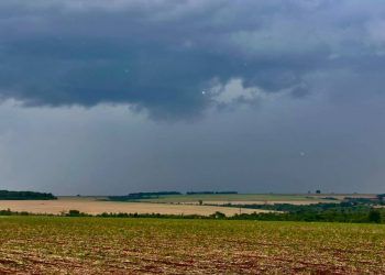 Clima irregular desacelera início da safra de soja 2025/26 em Goiás