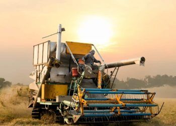 Crédito do agro cresce 22,6% e atinge R$ 1,4 trilhão em setembro