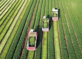 Crédito privado do agro cresce com avanço das LCAs e CPRs em setembro 9 Foto: Divulgação/Mapa