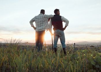 Desenrola Rural ultrapassa 500 mil operações e beneficia mais de 280 mil agricultores familiares