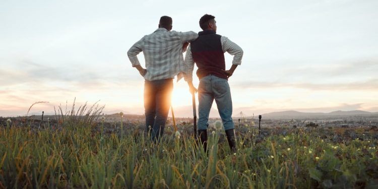 Desenrola Rural ultrapassa 500 mil operações e beneficia mais de 280 mil agricultores familiares