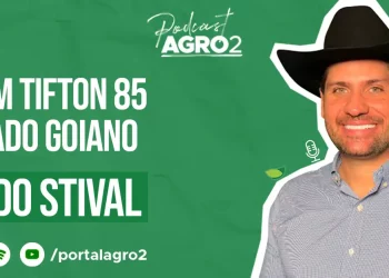 Entrevista com Oswaldo Stival Neto