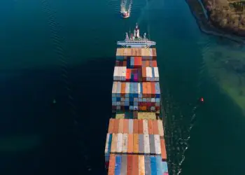 Exportações do agro batem recorde em setembro com destaque para carnes bovina e suína 8 Foto: Envato