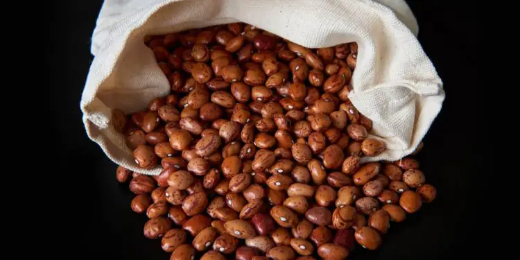 Feijão brasileiro bate recorde de exportações em meio à queda do consumo interno 1 Foto: Envato