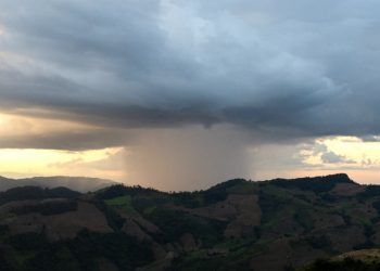 Foto: Envato