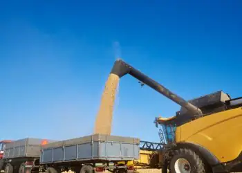 Fretes de grãos recua em setembro com menor demanda após escoamento das safras 7 Fretes de grãos recua em setembro com menor demanda após escoamento das safras