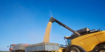 Fretes de grãos recua em setembro com menor demanda após escoamento das safras