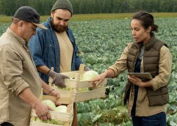 A integração entre Goiás e Mato Grosso do Sul ganhou novo impulso com o encontro entre representantes da Agência Goiana de Defesa Agropecuária (Agrodefesa) e da Agência Estadual de Defesa Sanitária Animal e Vegetal (Iagro).