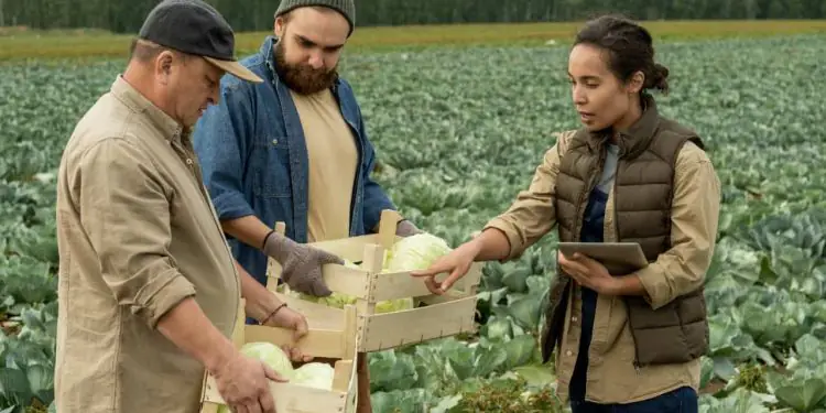 Goiás e Mato Grosso do Sul reforçam integração em ações de defesa agropecuária 1 A integração entre Goiás e Mato Grosso do Sul ganhou novo impulso com o encontro entre representantes da Agência Goiana de Defesa Agropecuária (Agrodefesa) e da Agência Estadual de Defesa Sanitária Animal e Vegetal (Iagro).