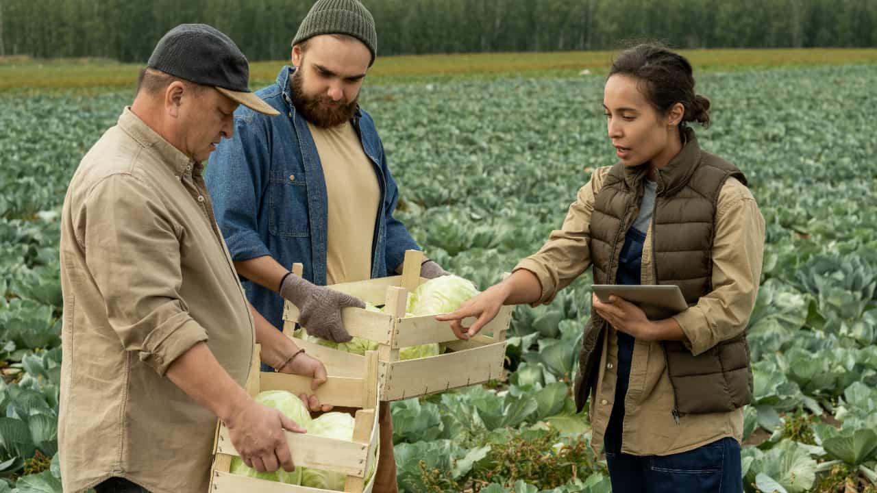 Goiás e Mato Grosso do Sul reforçam integração em ações de defesa agropecuária