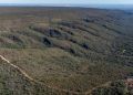 Goiás é reconhecido por avanços na conservação do Cerrado e no mercado de carbono