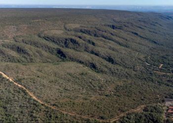 Goiás é reconhecido por avanços na conservação do Cerrado e no mercado de carbono