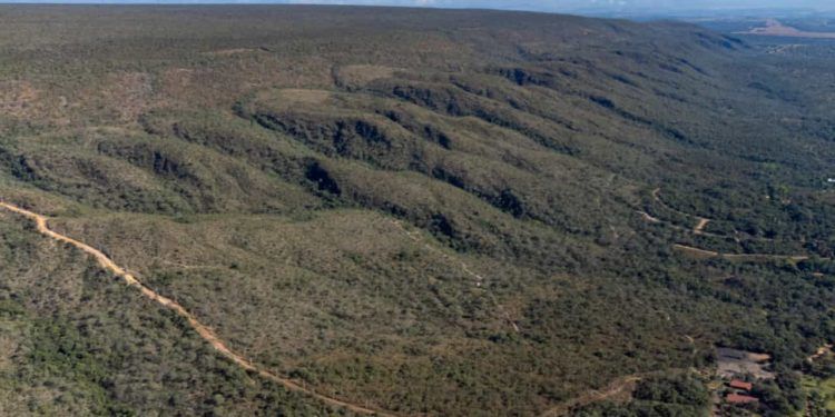 Goiás é reconhecido por avanços na conservação do Cerrado e no mercado de carbono