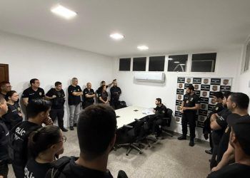 Golpe do falso intermediário no milho causa perdas de R$ 1 milhão em Goiás e outros 9 estados