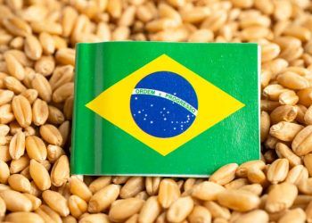 Lula confirma reunião com EUA para tratar de tarifas sobre exportações