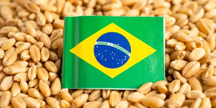 Lula confirma reunião com EUA para tratar de tarifas sobre exportações 1 Lula confirma reunião com EUA para tratar de tarifas sobre exportações