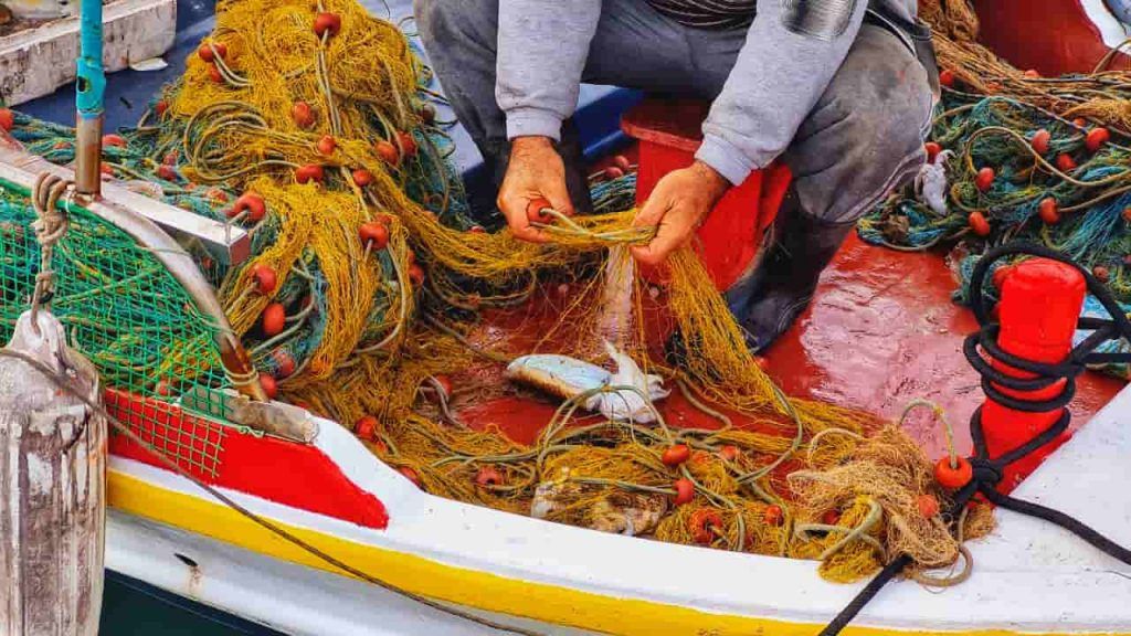 Comunidades pesqueiras tradicionais passam a integrar o Programa Nacional de Reforma Agrária 3 MPA suspende mais de 131 mil licenças de pescadores em todo o Brasil