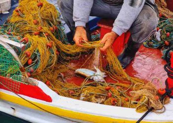 MPA suspende mais de 131 mil licenças de pescadores em todo o Brasil