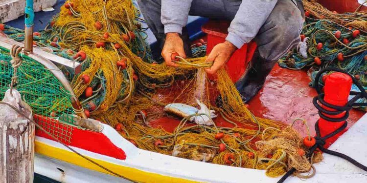 MPA suspende mais de 131 mil licenças de pescadores em todo o Brasil