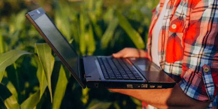 Mapa Conecta é lançado para fortalecer inovação no setor agropecuário 1 Foto: Envato