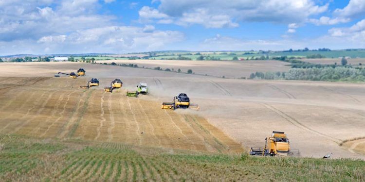 Mapa define método para avaliar perdas agrícolas por eventos climáticos