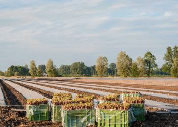 Mercosul passa a enviar notificações conjuntas à OMC sobre normas agrícolas 8 Mercosul passa a enviar notificações conjuntas à OMC sobre normas agrícolas