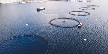 Ministério avalia impacto de espécies exóticas invasoras na pesca e aquicultura; entenda