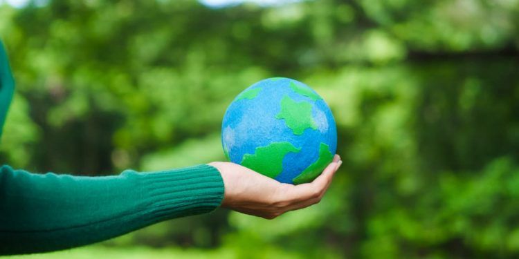 Ministério do Meio Ambiente lança plataforma de ensino voltada à educação ambiental 1 Foto: Envato