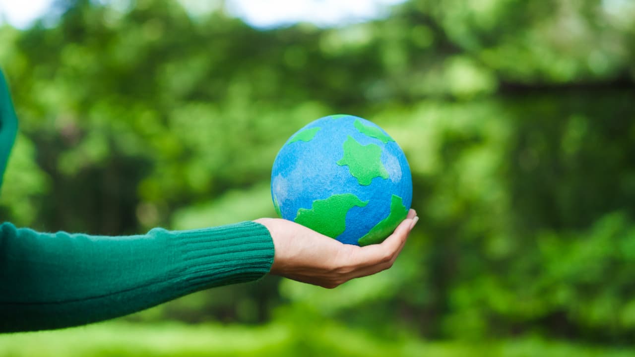 Ministério do Meio Ambiente lança plataforma de ensino voltada à educação ambiental 2 Ministerio do Meio Ambiente lanca plataforma de ensino voltada a educacao ambiental