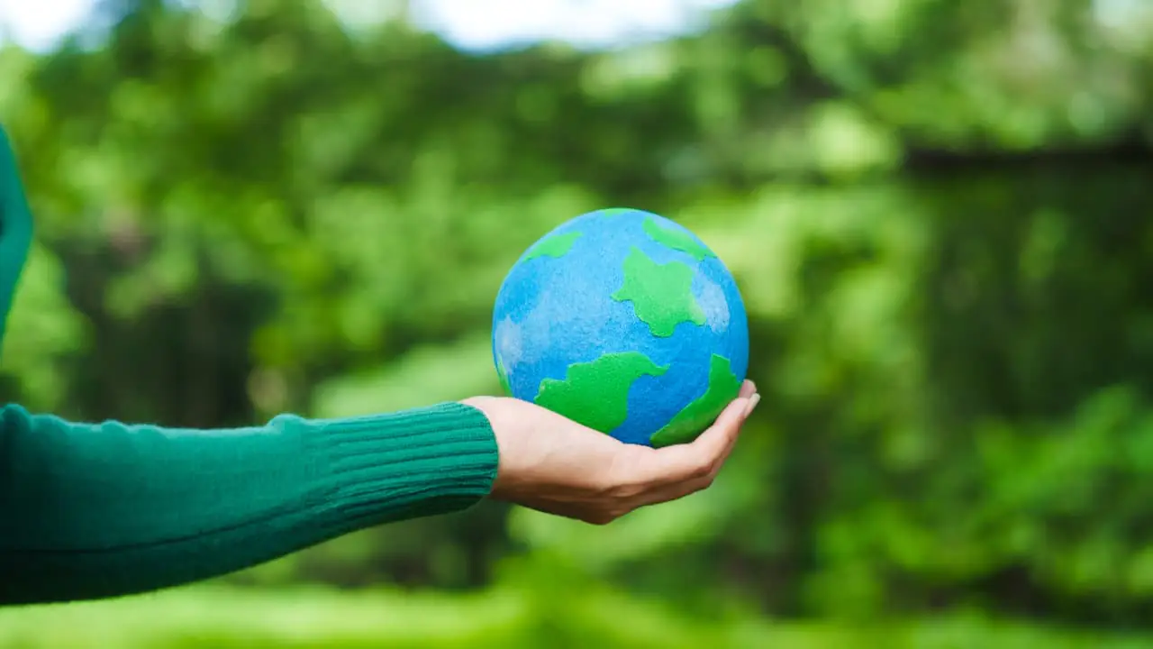 Ministério do Meio Ambiente lança plataforma de ensino voltada à educação ambiental 2 Ministerio do Meio Ambiente lanca plataforma de ensino voltada a educacao ambiental