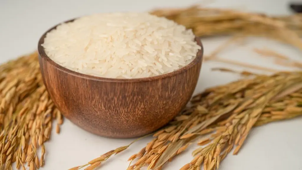 No Dia Internacional do Arroz, Brasil mostra peso do agro na alimentação mundial