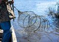 Piracema inicia fase de proteção aos peixes e suspende pesca em todo o país