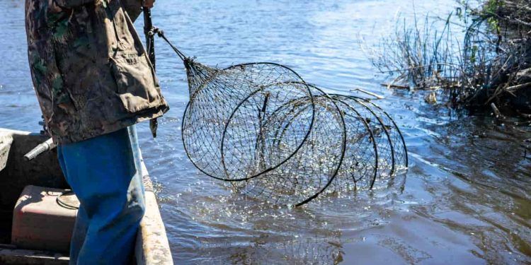 Piracema inicia fase de proteção aos peixes e suspende pesca em todo o país
