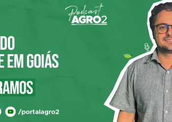 Podcast com Danillo Ramos