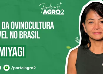 Podcast com Eliane Miyagi