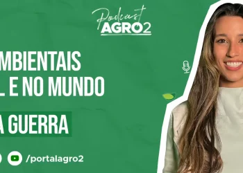 Podcast com Giovanna Guerra